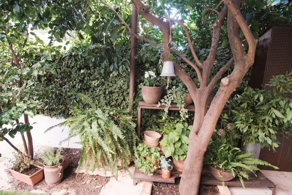 Willa La Casa Del Jardin Candeleda Zewnętrze zdjęcie